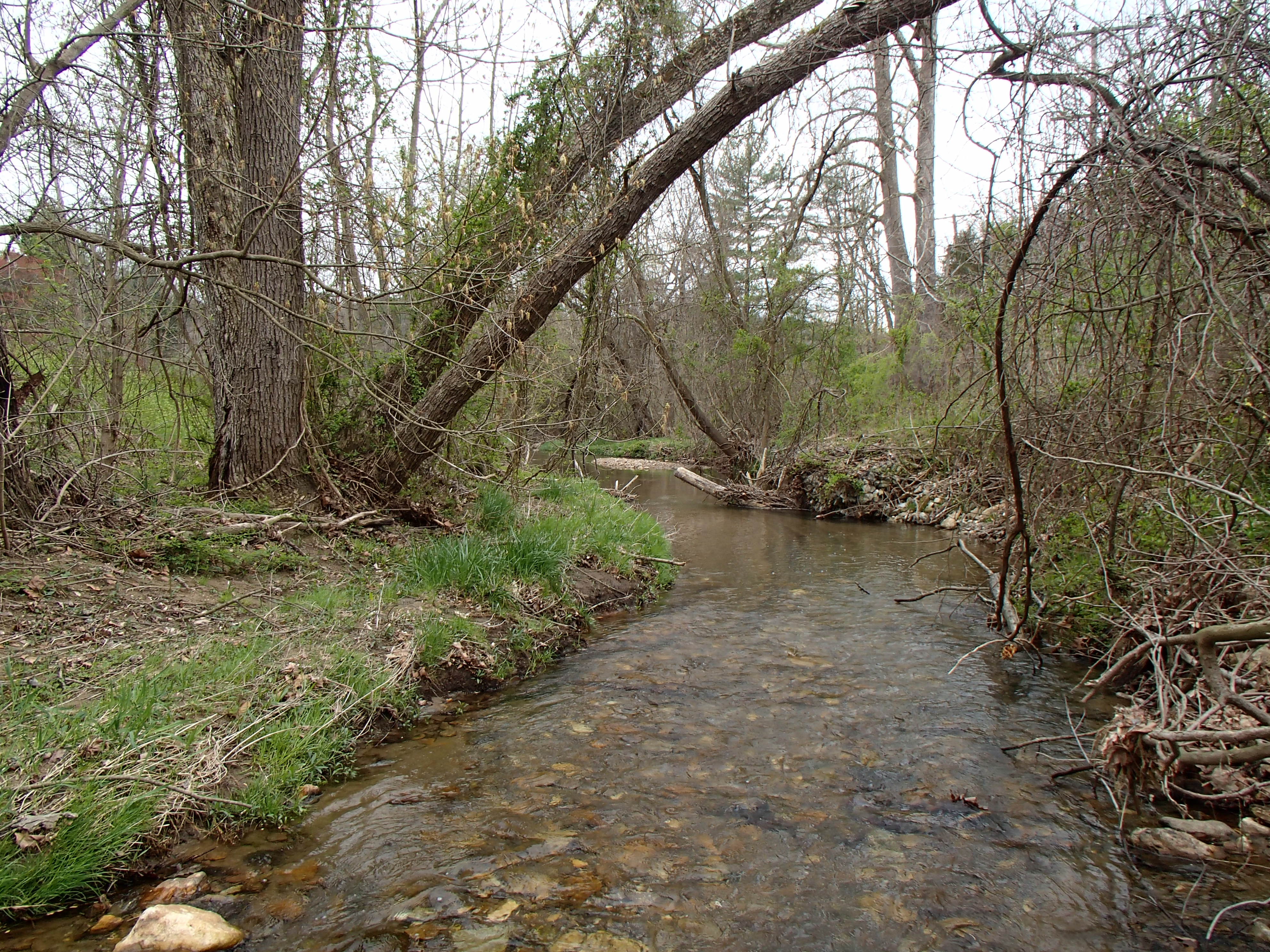 Field photo showing stream conditions at site LOCH-209-R-2016_midpoint looking downstream
